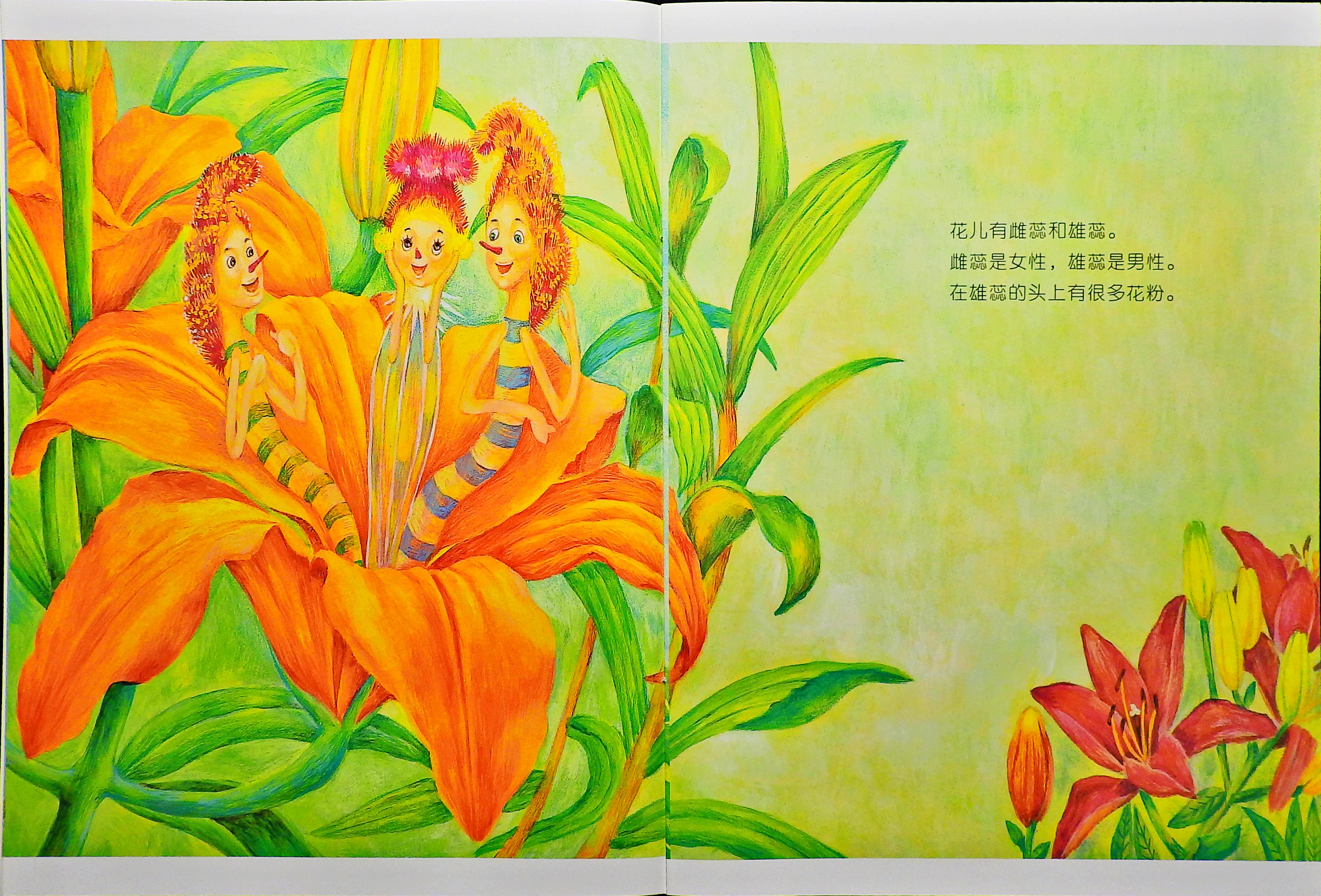 植物王国的结婚仪式 (04),绘本,绘本故事,绘本阅读,故事书,童书,图画书,课外阅读